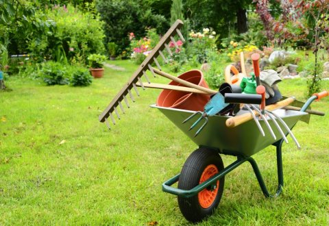 BENEFICIA DEL "BONUS VERDE" PER LA SISTEMAZIONE DEL TUO GIARDINO E/O TERRAZZO BENEFICIA DEL "BONUS VERDE" PER LA SISTEMAZIONE DEL TUO GIARDINO E/O TERRAZZO