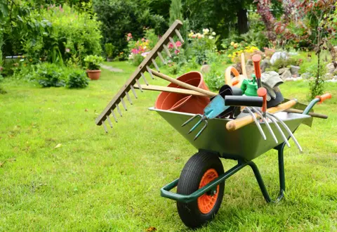 BENEFICIA DEL "BONUS VERDE" PER LA SISTEMAZIONE DEL TUO GIARDINO E/O TERRAZZO