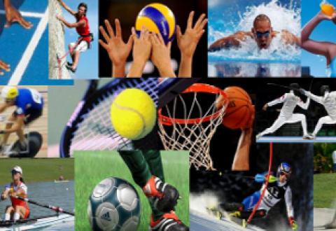 NOVITA' PER LE ATTIVITA' SPORTIVE NOVITA' PER LE ATTIVITA' SPORTIVE